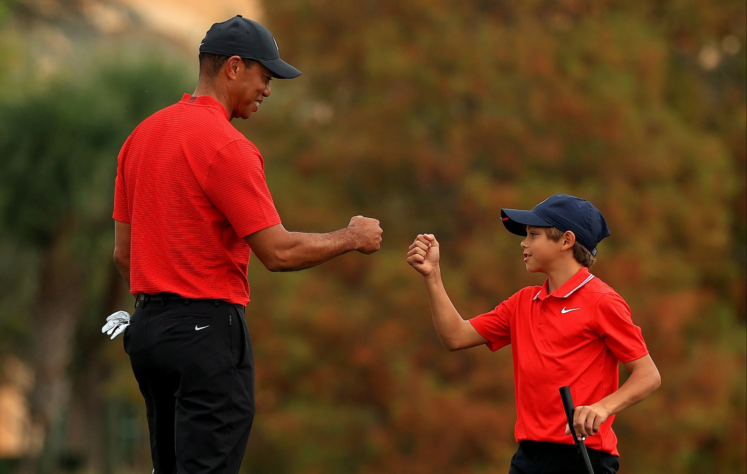 Bố con Tiger Woods giống nhau thế nào?